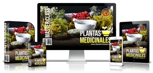 PLANTAS MEDICINALES